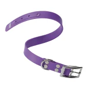 Эластичный ошейник Ferplast Ergoflex CF24/53 Purple для собак, A: 45÷53 см, B: 24 мм