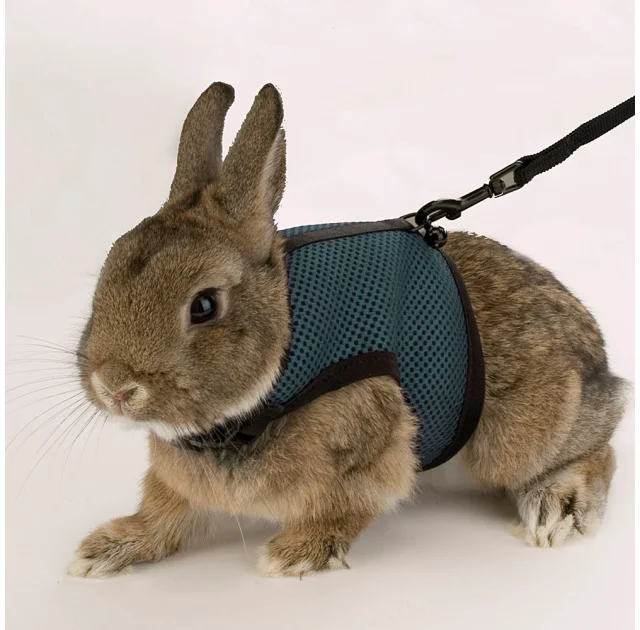 Шлейка Ferplast Jogging Small-harness для дрібних тварин