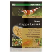 Листя мигдалевого дерева Dennerle Nano Catappa Leaves, для креветок, 12 шт Листя мигдалевого дерева Dennerle Nano Catappa Leaves, для креветок, 12 шт