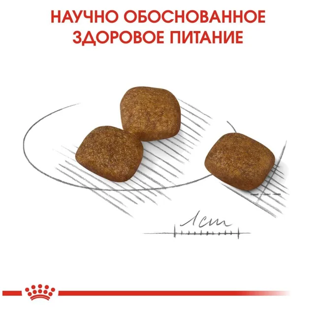 Сухой корм Royal Canin Mini Coat Care для собак мелких пород с тусклой и сухой шерстью, 1 кг