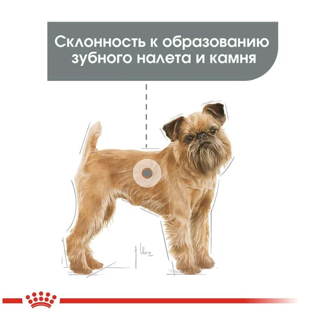 Сухой корм Royal Canin Mini Dental Care для уменьшения образования зубного камня у собак мелких пород, 1 кг
