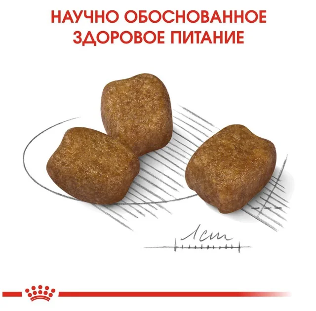 Сухой корм Royal Canin Mini Dental Care для уменьшения образования зубного камня у собак мелких пород, 3 кг