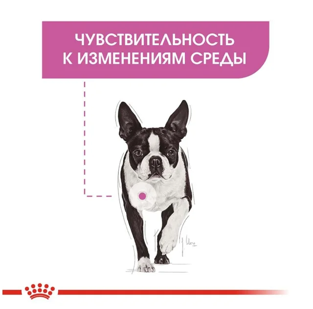 Сухий корм Royal Canin Mini Relax Care з заспокійливою дією для собак дрібних порід, 1 кг