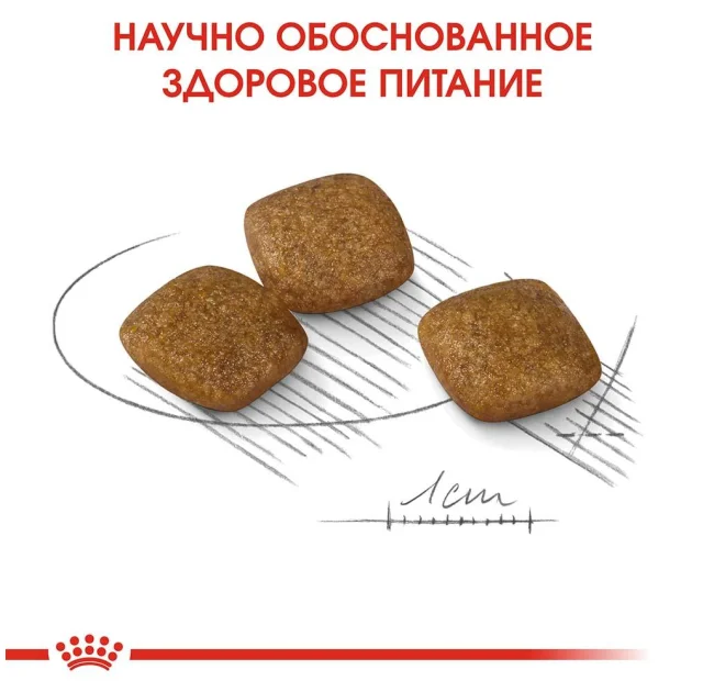 Сухий корм Royal Canin Mini Relax Care з заспокійливою дією для собак дрібних порід, 1 кг