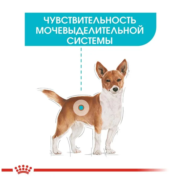 Сухой корм Royal Canin Mini Urinary Care для собак мелких пород с чувствительной мочевыделительной системой, 1 кг