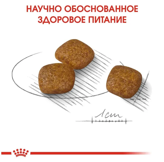Сухой корм Royal Canin Mini Urinary Care для собак мелких пород с чувствительной мочевыделительной системой, 3 кг