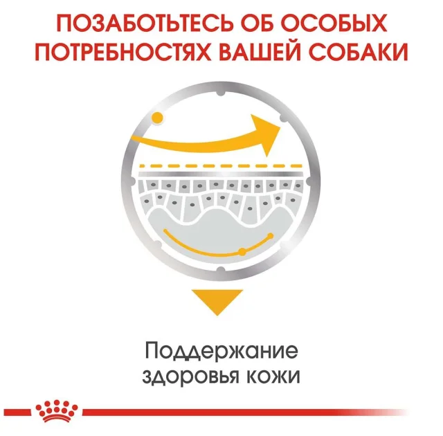 Вологий корм Royal Canin Dermacomfort для собак з чутливою шкірою, паштет, 85 г