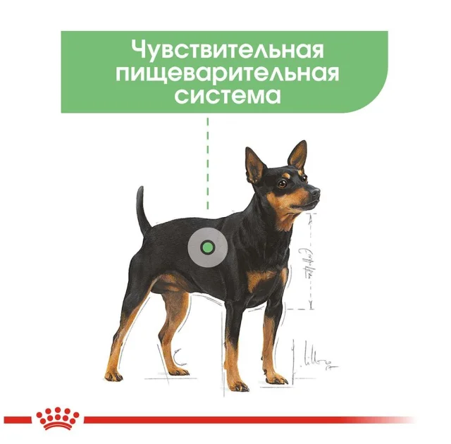 Вологий корм Royal Canin Digestive Care при чутливому травленні у собак, паштет, 85 г