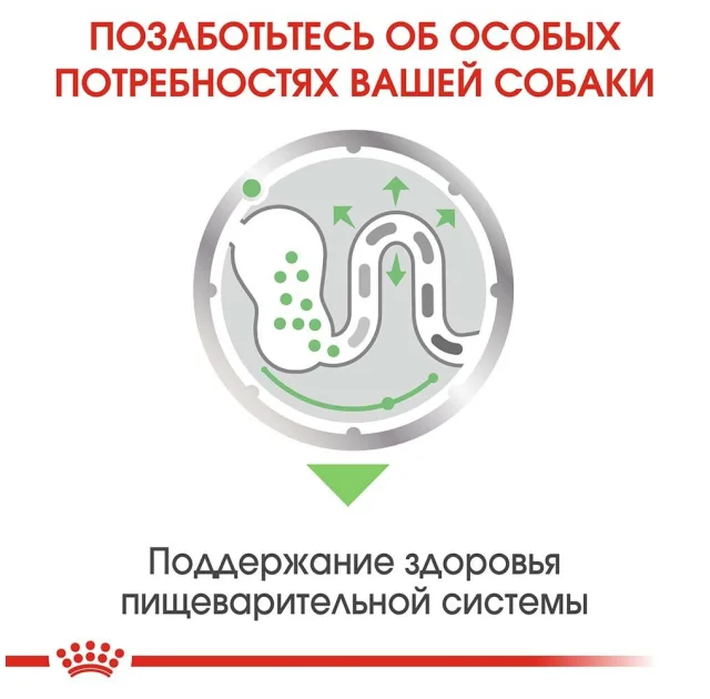 Вологий корм Royal Canin Digestive Care при чутливому травленні у собак, паштет, 85 г