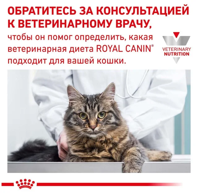 Сухий корм Royal Canin Urinary S / O Moderate Calorie при сечокам'яній хворобі у котів, 9 кг