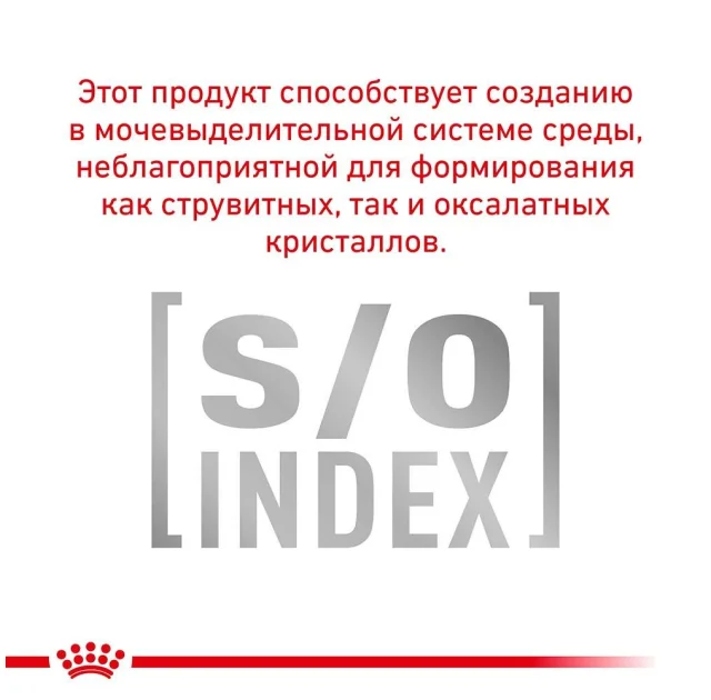 Вологий корм Royal Canin Urinary S/O при сечокам'яній хворобі у кішок, паштет, 85 г