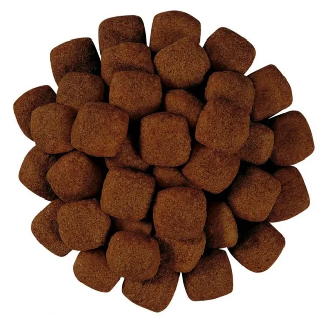 Сухой корм Royal Canin S/O Ageing 7+ для собак от 7 лет, 8 кг