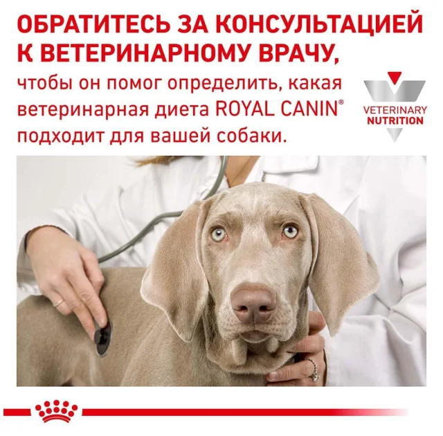 Сухой корм Royal Canin S/O Ageing 7+ для собак от 7 лет, 8 кг
