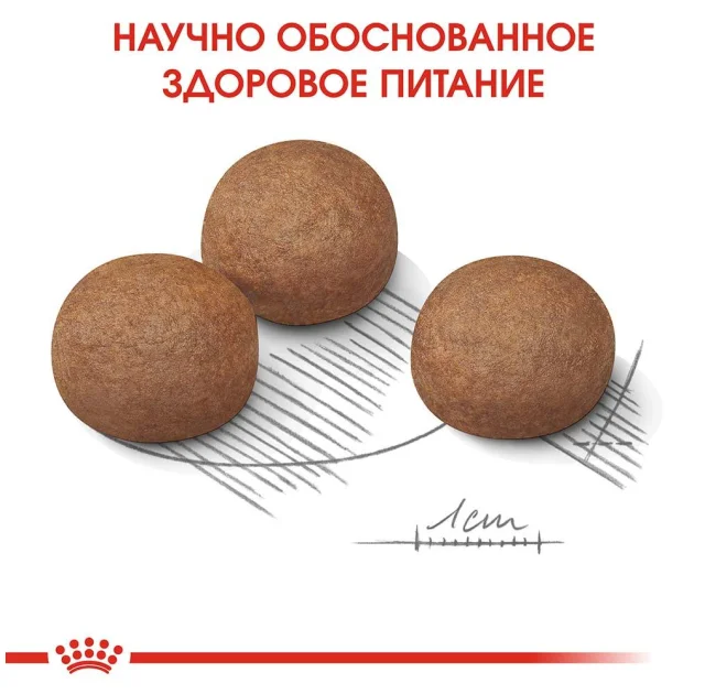 Сухой корм Royal Canin Maxi Digestive Care при чувствительном пищеварении у собак крупных пород, 10 кг