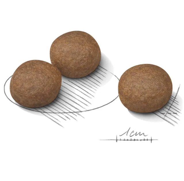 Сухой корм Royal Canin Medium Digestive Care при чувствительном пищеварении у собак средних пород, 3 кг