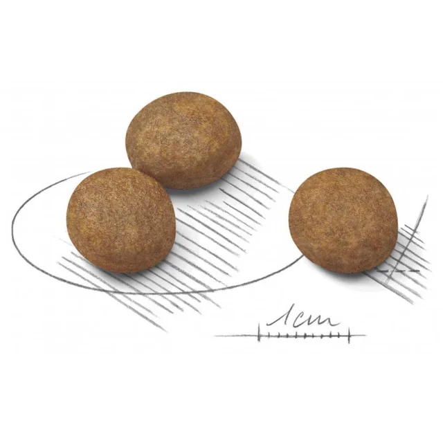 Сухий корм Royal Canin Maxi Puppy для цуценят великих порід з 2 до 15 місяців, 15 кг