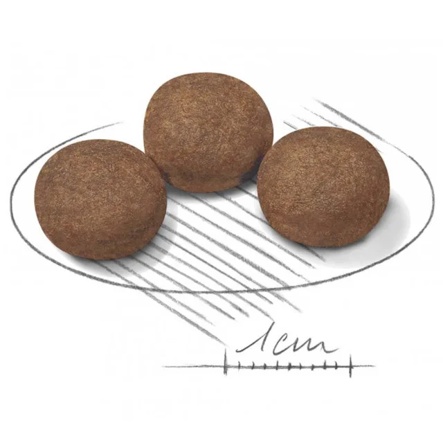 Сухий корм Royal Canin Medium Puppy для цуценят середніх порід до 12 місяців, 15 кг