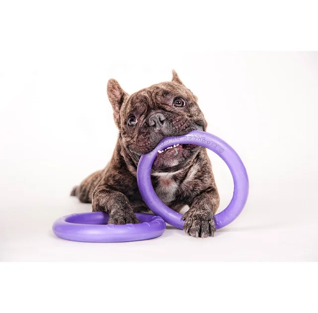 Тренировочный снаряд Puller Mini для собак, диаметр - 18 см