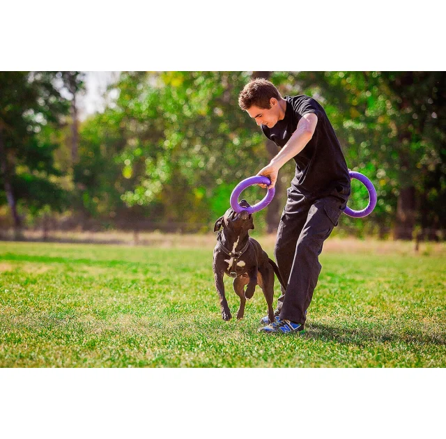 Тренировочный снаряд Puller Standard для собак, диаметр - 28 см