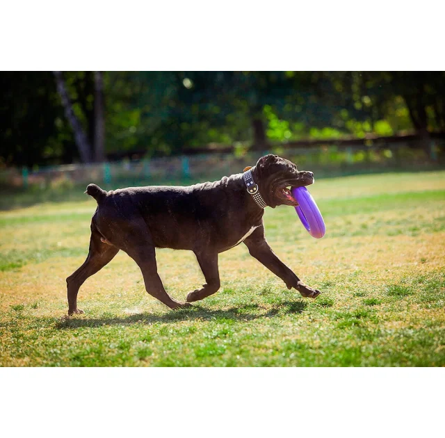 Тренировочный снаряд Puller Мaxi для собак, диаметр - 30 см