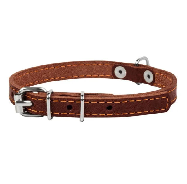 Нашийник одинарний для собак 12 мм, 24-32 см, коричневий