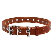Ошейник безразмерный для собак 20 мм, 50 см, коричневый