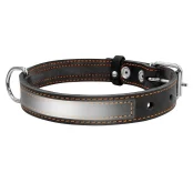 Ошейник со светоотражающей лентой для собак 20 мм, 32-40 см, черный