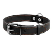 Нашийник одинарний для собак 25 мм, 38-50 см, чорний