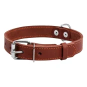 Нашийник одинарний з прикрасою для собак 25 мм, 38-50 см, коричневий