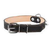 Ошейник двойной с шипами для собак 25 мм, 38-50 см, черный