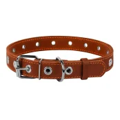 Ошейник безразмерный для собак 25 мм, 60 см, коричневый