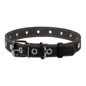 Ошейник безразмерный для собак 25 мм, 60 см, черный