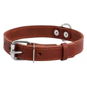 Нашийник одинарний для собак 35 мм, 48-63 см, коричневий