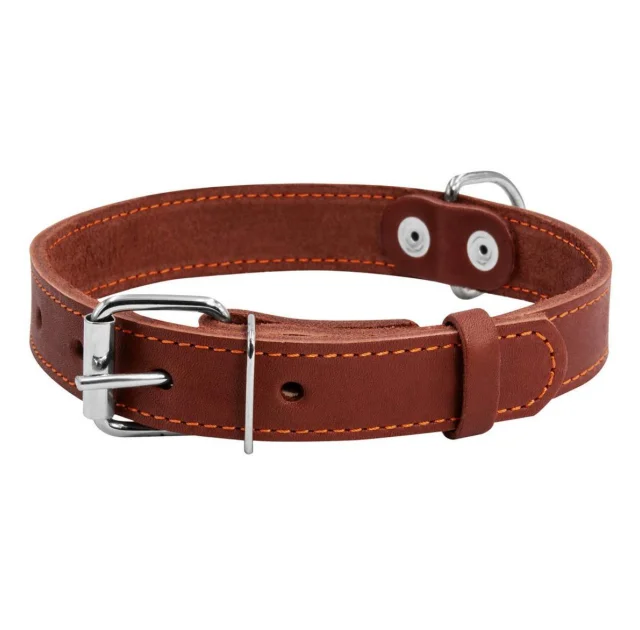 Нашийник одинарний для собак 35 мм, 48-63 см, коричневий
