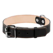 Нашийник подвійний для собак 35 мм, 48-63 см, чорний