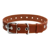 Нашийник безрозмірний для собак 35 мм, 69 см, коричневий