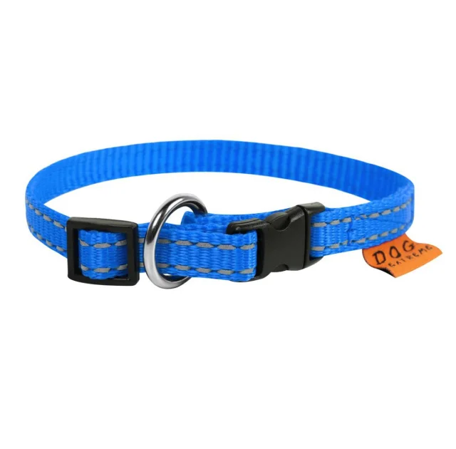 Нейлоновый ошейник Dog Extreme для собак, регулируемый, 10 мм, 20-30 см, голубой
