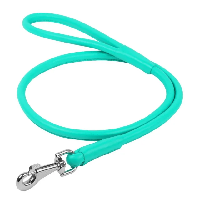 Повідець круглий Waudog Glamour для собак 13 мм, 122 см, ментоловий