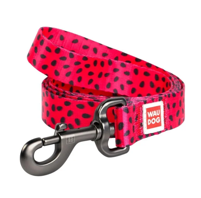 Поводок Waudog Nylon с рисунком Арбуз для собак 20 мм, 122 см