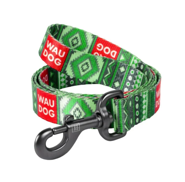 Повідець Waudog Nylon з малюнком Етно зелений для собак 15 мм, 122 см