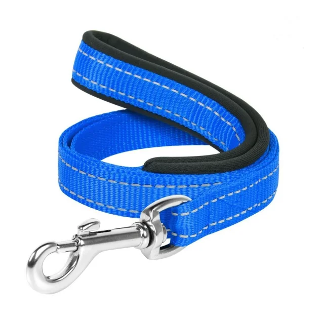 Нейлоновий поводок Dog Extreme c прорезініной ручкою для собак 14 мм, 122 см, блакитний