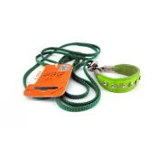 Ринговка зі шкіряною накладкою і стразами Dog Extreme для собак 5 мм, 130 см, салатовий