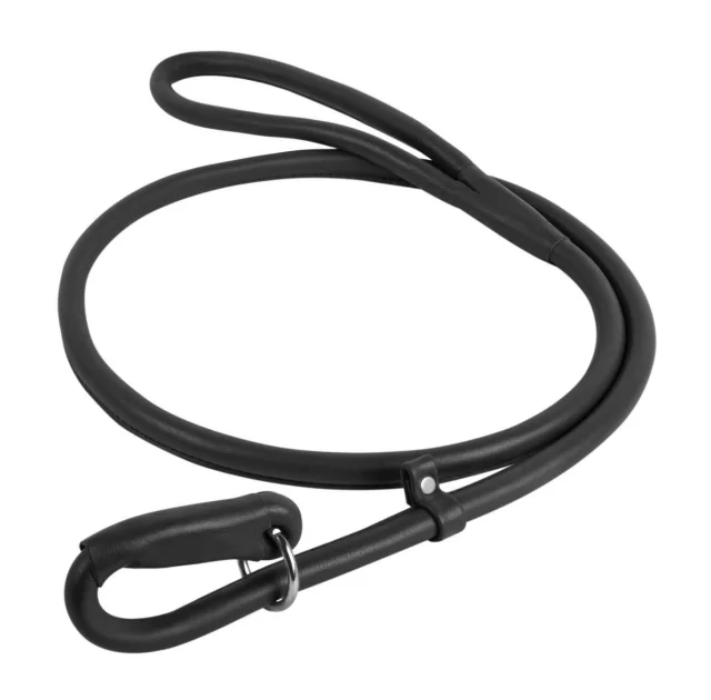 Повідець-зашморг Waudog Glamour круглий для собак 10 мм, 183 см, блакитний