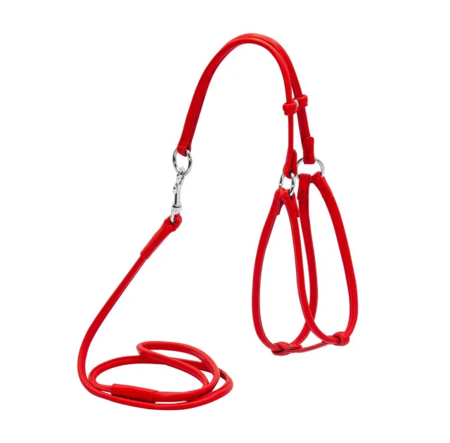 Шлея с поводком Waudog Glamour №1 круглая для кошек и мелких собак 6 мм, 105 см, красный