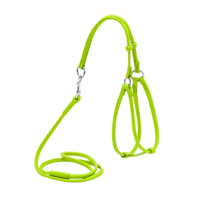Шлея с поводком Waudog Glamour №1 круглая для кошек и мелких собак 6 мм, 105 см, салатовый