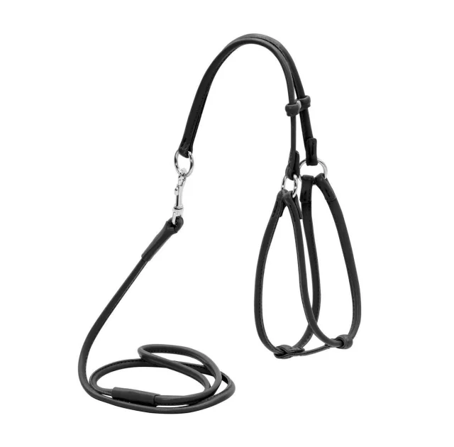 Шлея с поводком Waudog Glamour №1 круглая для кошек и мелких собак 6 мм, 105 см, черный