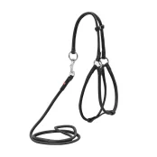 Шлея-поводок круглая Waudog Soft №1 для кошек и мелких собак, 6мм x 105см, черная