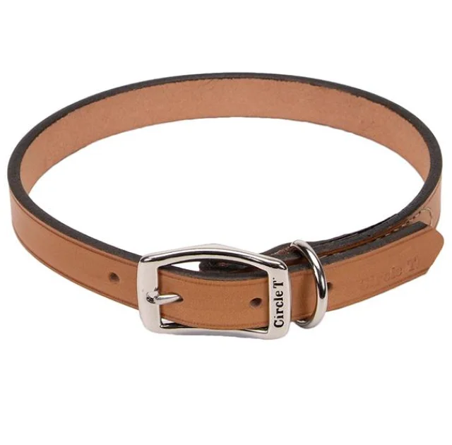 Шкіряний нашийник Coastal Circle T Leather Town для собак, бежевий, 2.5×60 см
