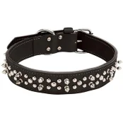 Подвійний нашийник Coastal Spiked Leather для собак, з шипами, чорний, 4.25×65 см