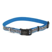 Світловідбиваючий нашийник Coastal Lazer для собак, бірюзовий, 2.5×45-71 см